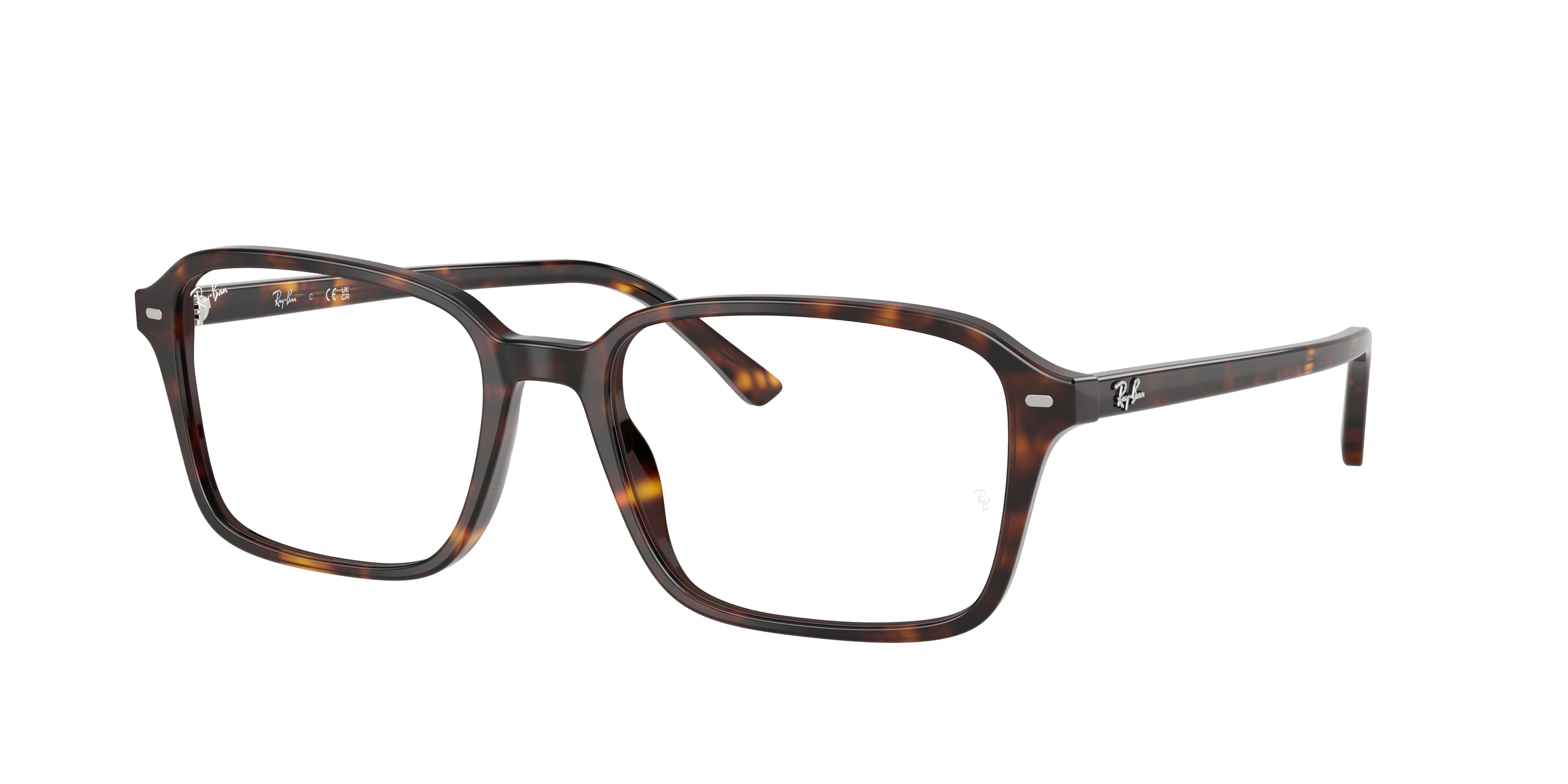 Ray-Ban RX5431 2012 Raimond